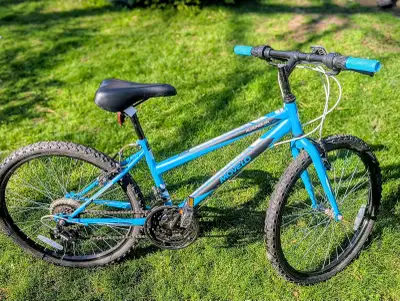 Movelo Algonquin 24” Kids Bike – Great Condition, View more