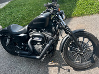 Harley Davidson 2009 883 Iron