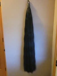 Horse Tail Extension