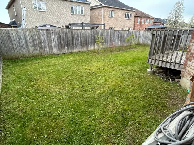 same day lawn service !  in Lawn, Tree Maintenance & Eavestrough in City of Toronto - Image 7