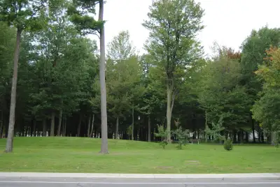*A BELOEIL GRAND 5 ½ Face au parc spacieux, Clé en main, entièrement rénové (fenêtres, cuisines, sal...