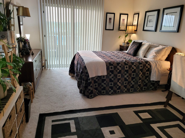 LUST FOR DUST CLEANING SERVICES  - Hamilton in Cleaners & Cleaning in Hamilton