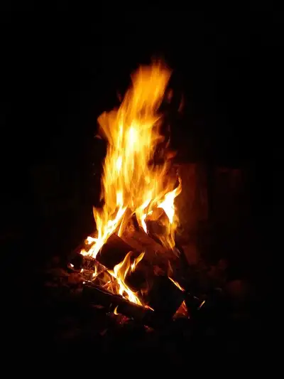 Selling cut and split tamarack fire wood High Heat Output: Tamarack firewood produces a high heat ou...