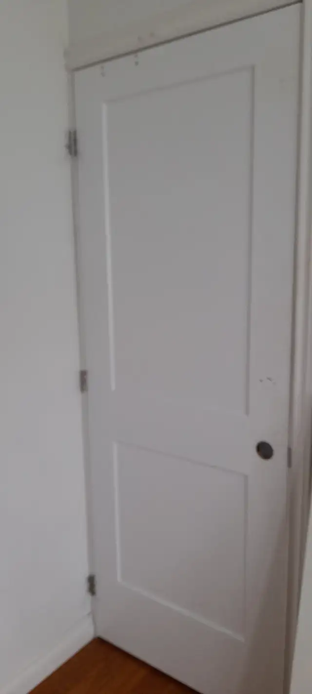 30x80 Pre-Hung Doors (with Frame) and 30x77 Interior Door Slab ...
