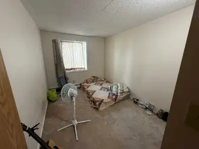 1 furnished room for rent