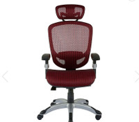 Ergonomic desk chair, paid $400. 