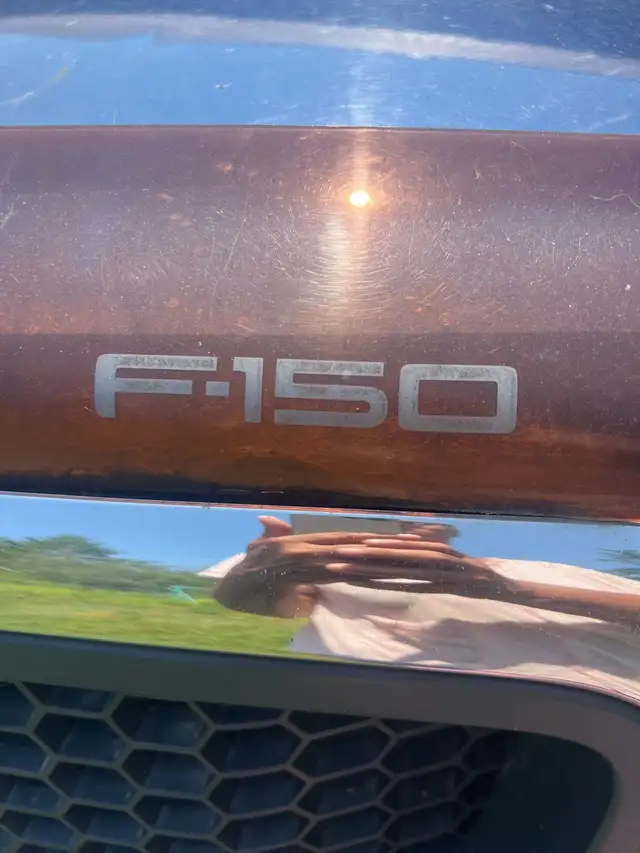 F150 Truck 529384576533155842