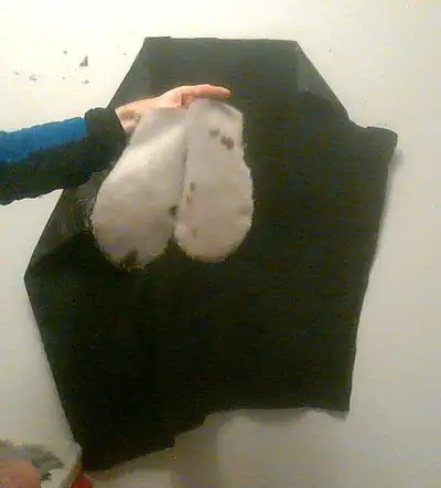 Seal Fur Mittens, View more