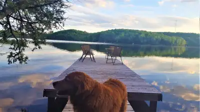 COTTAGE FOR  RENT BANCROFT AREA, View more