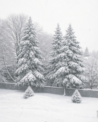 A friendship for sharing experience, View more