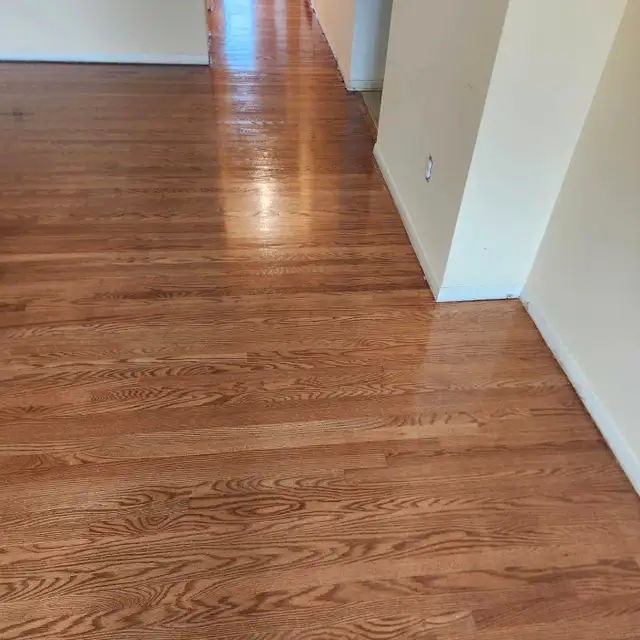 Floor sanding62864741728001121