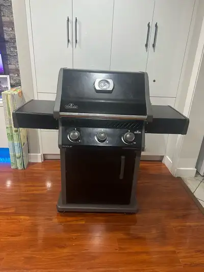 Napoleon bbq (FREE DELIVERY), View more