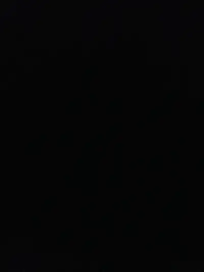 Videographer for a car detailing company , View more