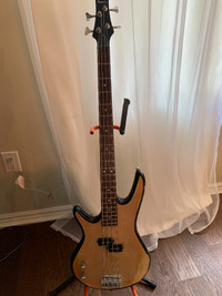 Electric LH Bass guitar