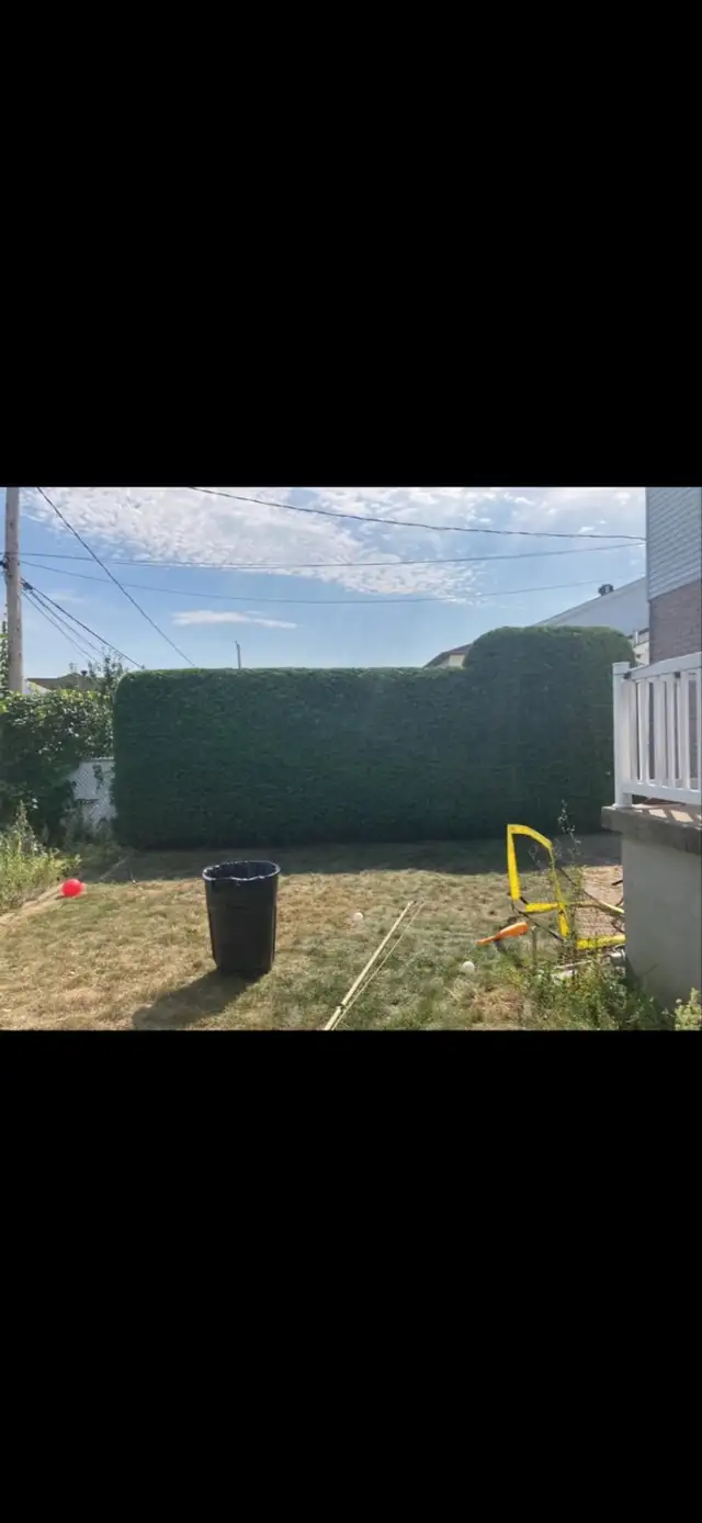 Hedge Size62863220294017122