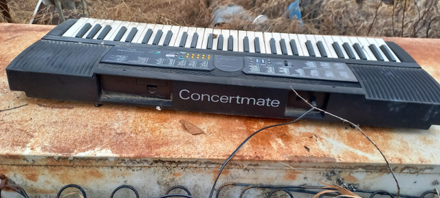 I deliver! Electronic Concertmate Keyboard in Pianos & Keyboards in St. Albert - Image 4