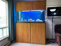 120 gallon reef ready aquarium