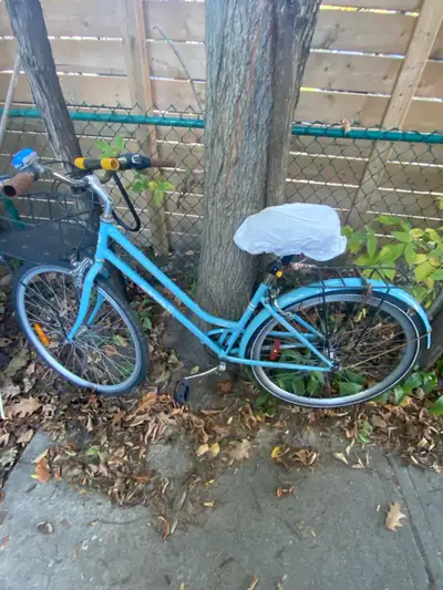 Step Through Bicycle , View more