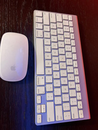 Apple mouse and keyboard 