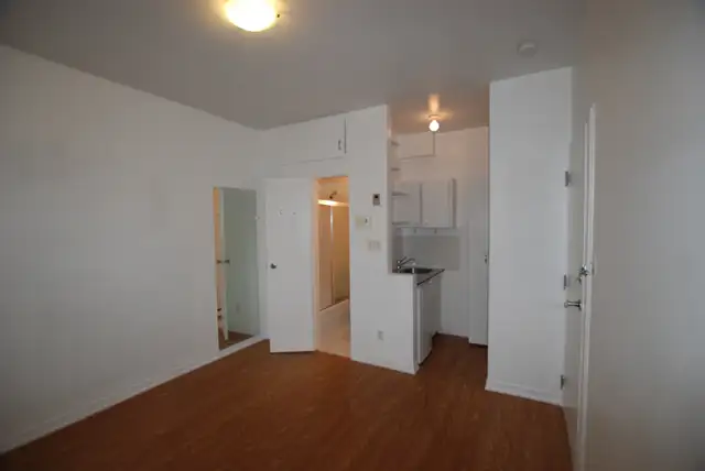 Bright Studio in the Annex