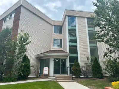 2 bedrooms apartment for rent