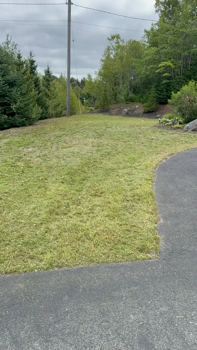 fall cleanup/ leaves removal569705120128061444