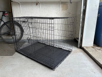 Cage à chien