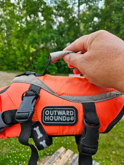 Older small dog life jacket. Used very little. Item located at Wizard lake.