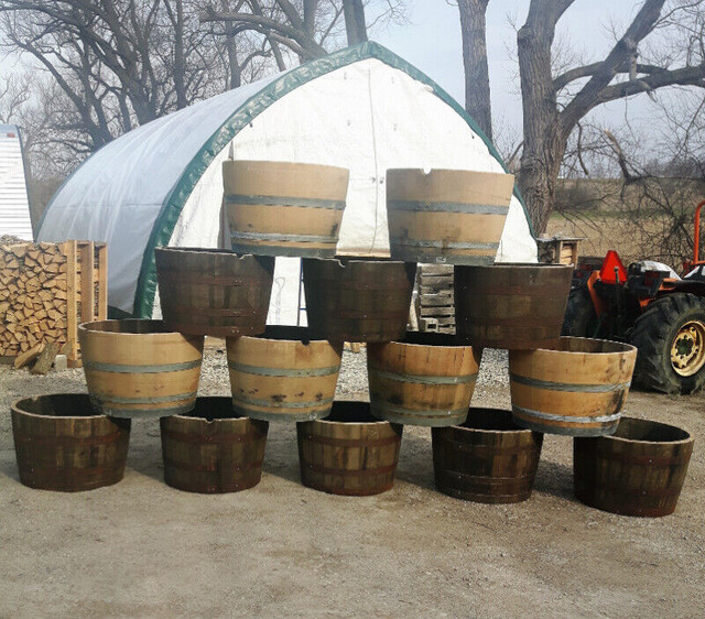 Wine and Whiskey Barrel Planters in Outdoor Décor in Kitchener / Waterloo - Image 3