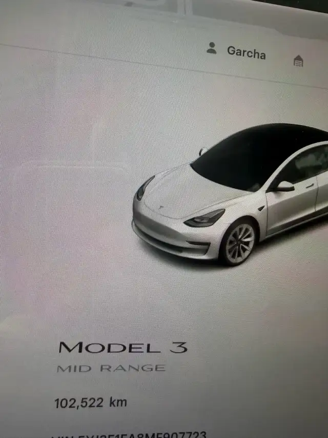 2021 Tesla Model 3 mid range 561999786269757443