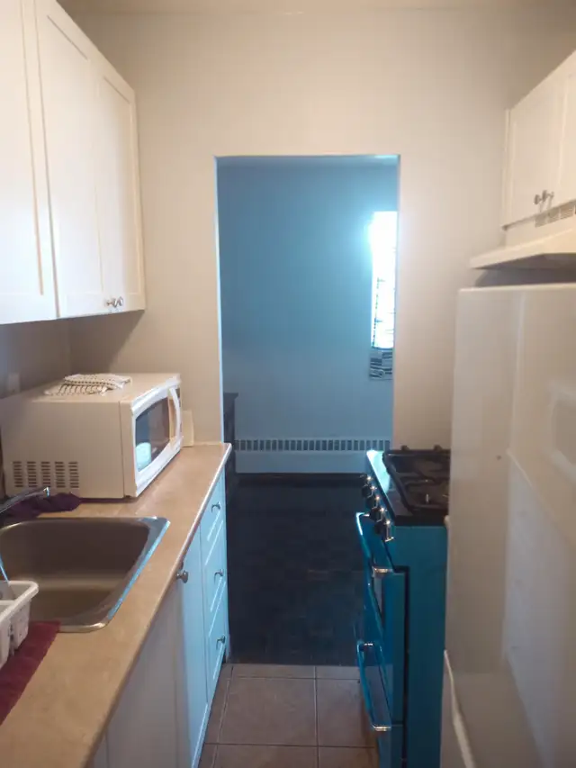 Room for rent Move in ready  by Merivale rd in Room Rentals & Roommates in Ottawa - Image 5