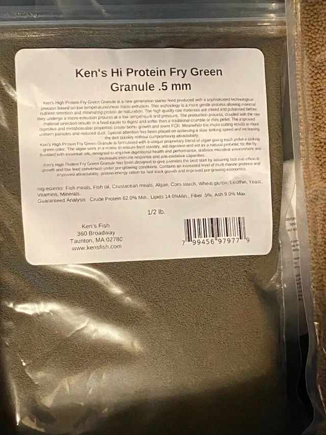 cichlids food  in Fish for Rehoming in Mississauga / Peel Region - Image 4