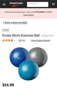 Evoke 65cm Exercise Ball