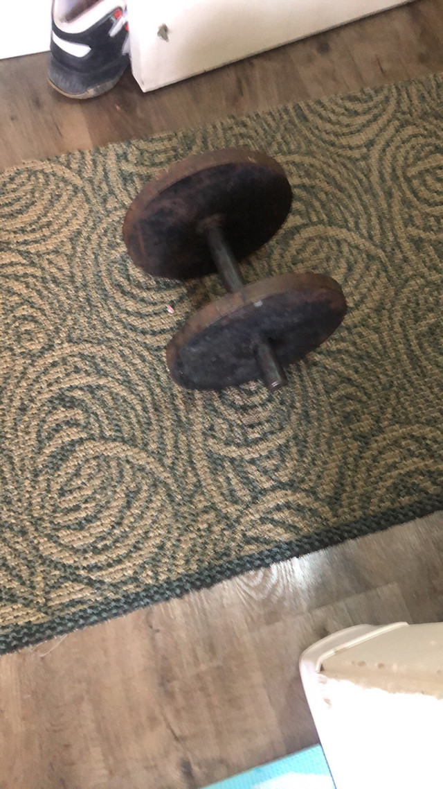 Cast iron Dumbbell  in Exercise Equipment in Winnipeg - Image 2