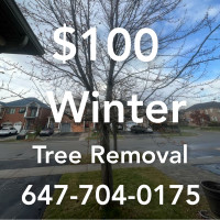 WINTER TREE REMOVAL. 647-704-0175
