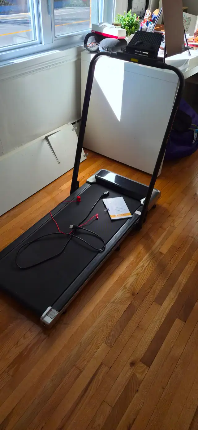 Decathlon Walking Mat