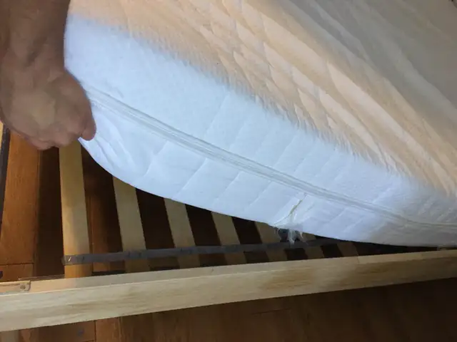 New Bedframe & Free Mattress64840217993473121