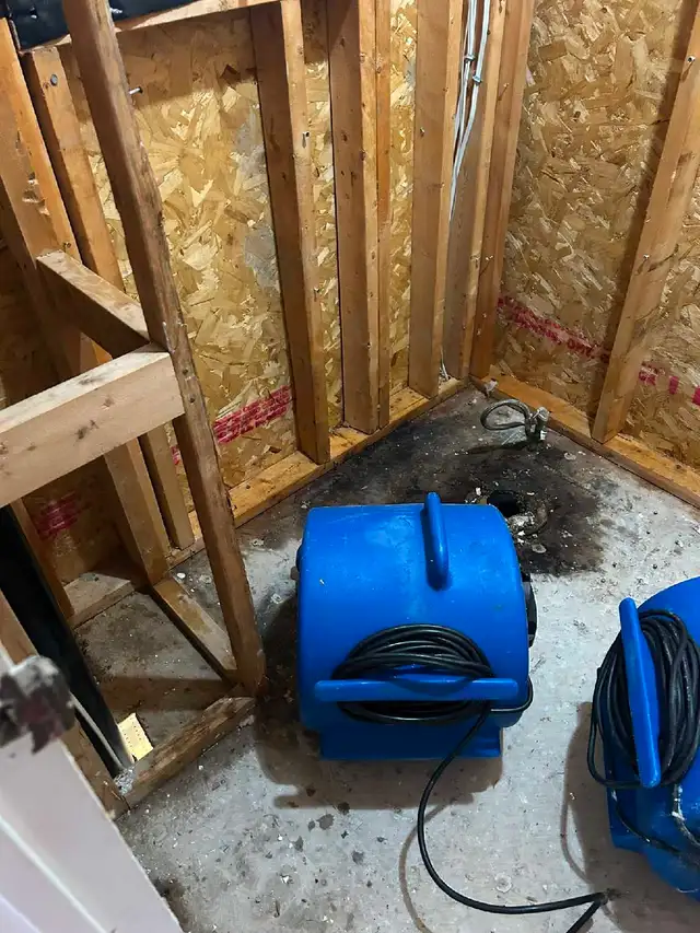 Mold Removal Specialist525757186080788487