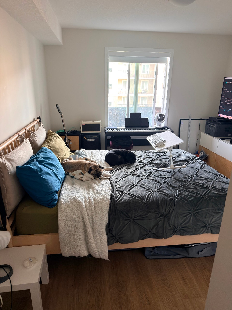 2 Bedroom / 2 Bathroom Apartment 5