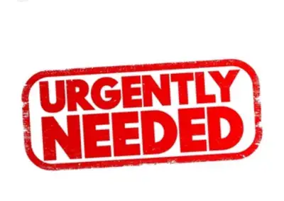 URGENT: Quiet Family Seeking 2 Bedroom Rental – Barrie Area, View more