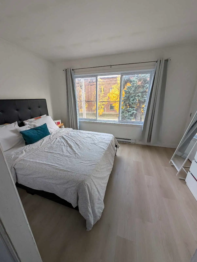 3 1/2 à Lasalle in Long Term Rentals in City of Montréal - Image 4