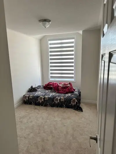 room for a rent