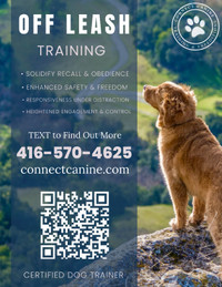 CONNECTCANINE.COM OFF LEASH DOG TRAINING.  CERTIFIED DOG TRAINER