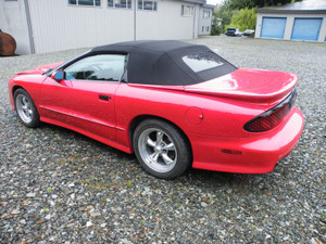1997 Pontiac Trans Am WS6