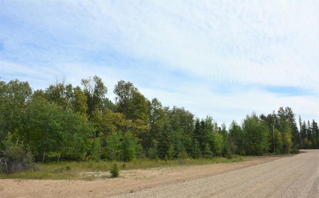 Turtle Lake Cabin Properties in Land for Sale in Saskatoon - Image 4