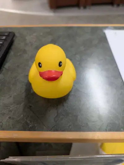 Found  Duck Decoys , View more