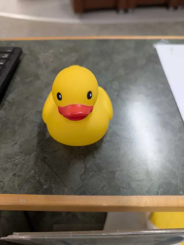 Found  Duck Decoys  in Fishing, Camping & Outdoors in Trenton - Image 2