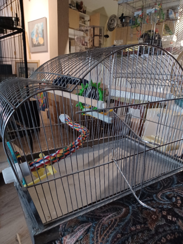 Vintage stainless steel bird cage with rubber liner in Birds for Rehoming in Abbotsford - Image 4