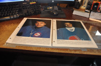 quebec nordiques hockey pictures photos 1981-1982 nhl lot of 22