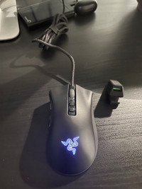 Razer Deathadder V2 PRO